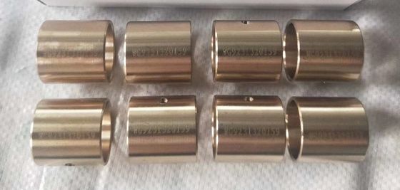 Đồng phía sau khác biệt Bushing, chính xác khác biệt Carrier Bushing
