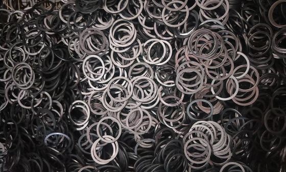 Hiệu suất cao Differential Washer Blacking Độ cứng cao Mang sức đề kháng